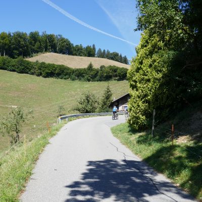 042 Anfang eines schweisstreibenden Aufstiegs